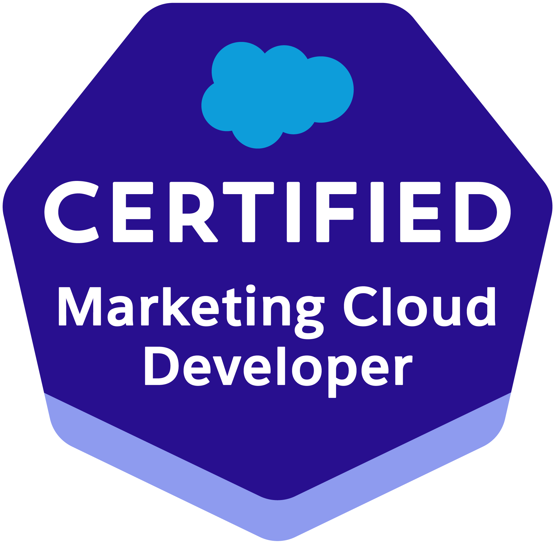 Salesforce Certified Marketing Cloud Developer